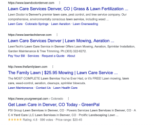 lawn care google result